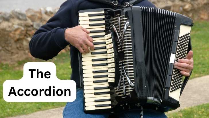 Accordion wind instrument discount