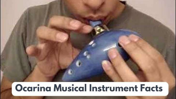 Ancient Musical Instrument Ocarina Bird in Folk System / Wild Flute store